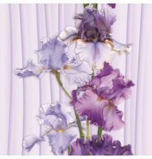 Панель 2700*250*8 Ирис 1 349